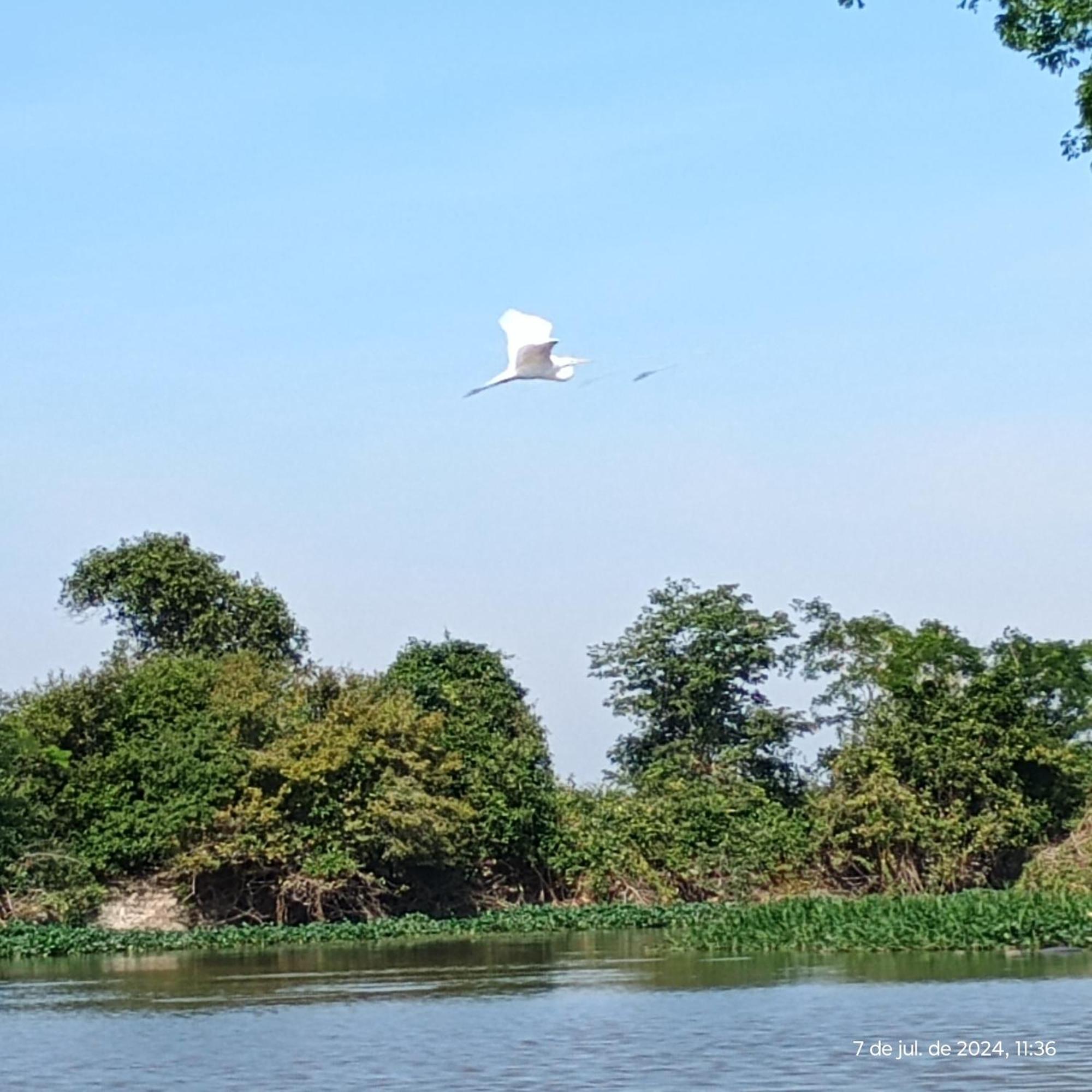 Barco Casa Pantanal Toca Da Onca Pocone
