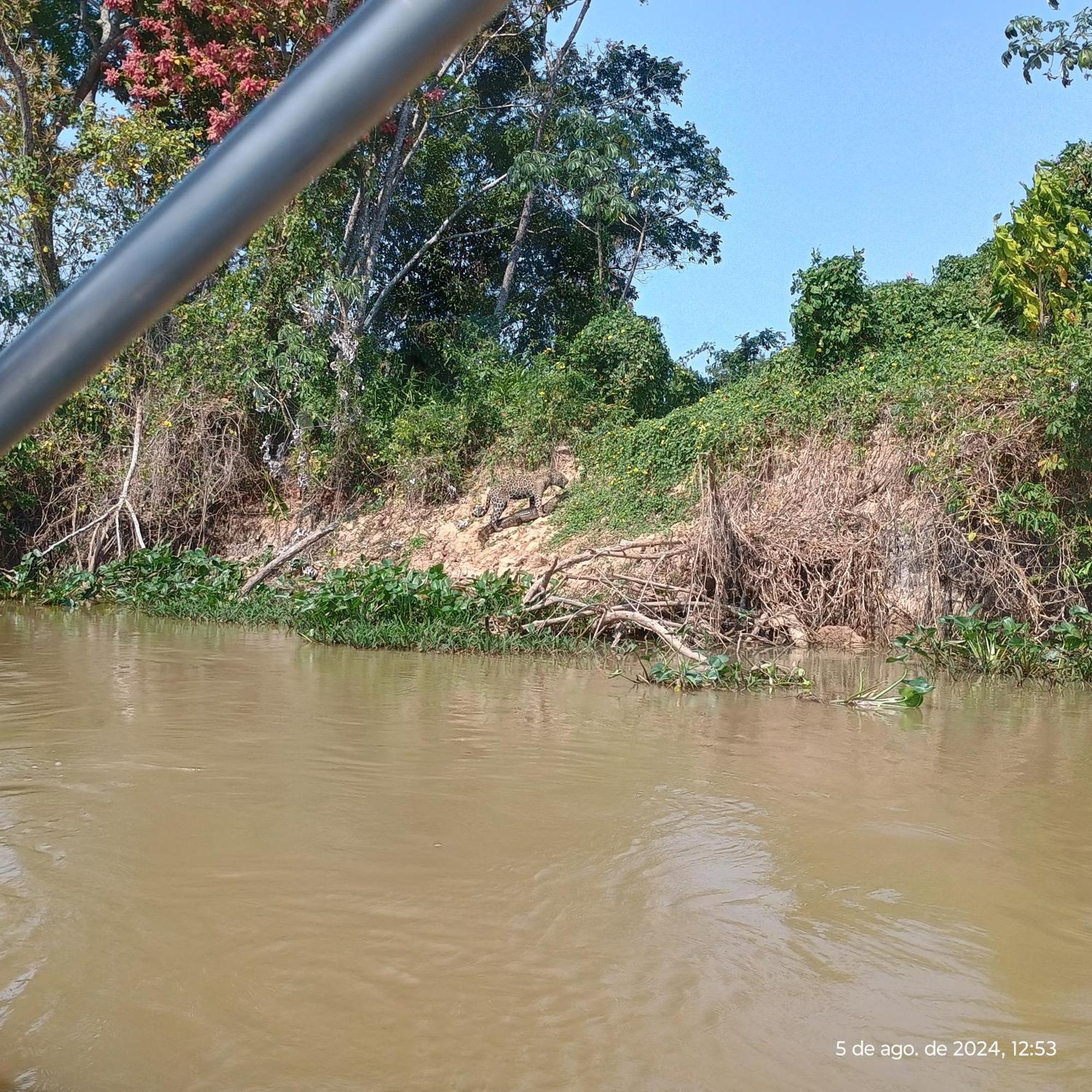 Botel Barco Casa Pantanal Toca Da Onca *